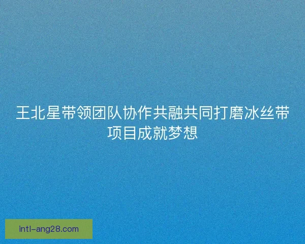 王北星带领团队协作共融共同打磨冰丝带项目成就梦想