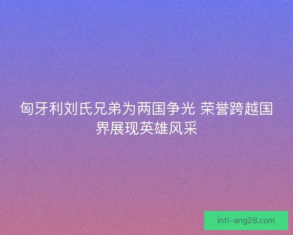 匈牙利刘氏兄弟为两国争光 荣誉跨越国界展现英雄风采